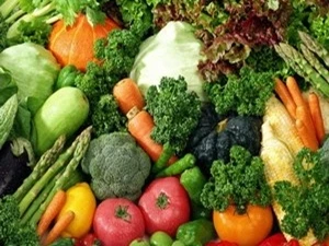 2013年越南水果蔬菜出口额超过10亿美元